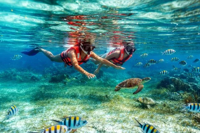 Coral garden inside Puerto Morelos National Park — the top snorkeling spot for Cancun snorkeling tours