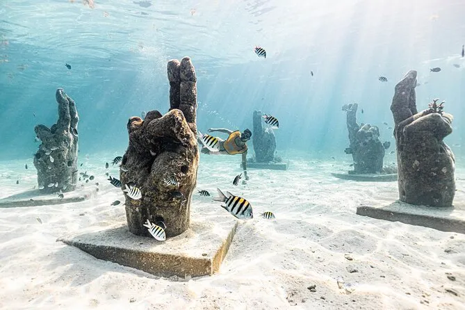 Sea turtle swimming over coral reef on a Cancun snorkeling tour — turtles are spotted on most reef trips